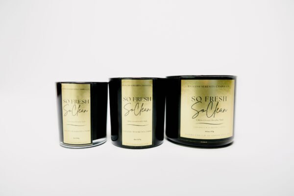 Endless Serenity Candle Co So Fresh So Clean Candles